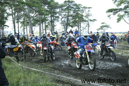 GGN08-2007
