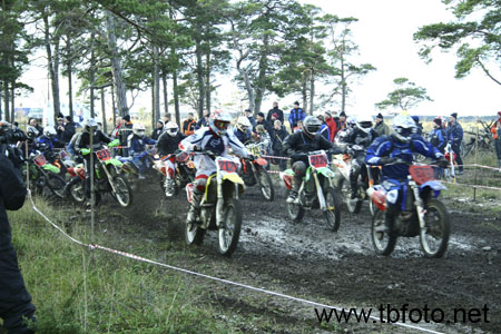 GGN08-2008